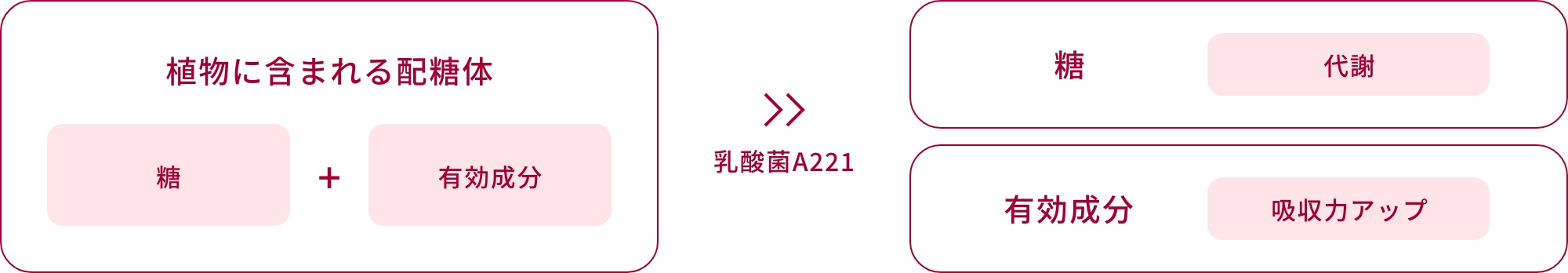 植物の有用成分を吸収しやすく変換