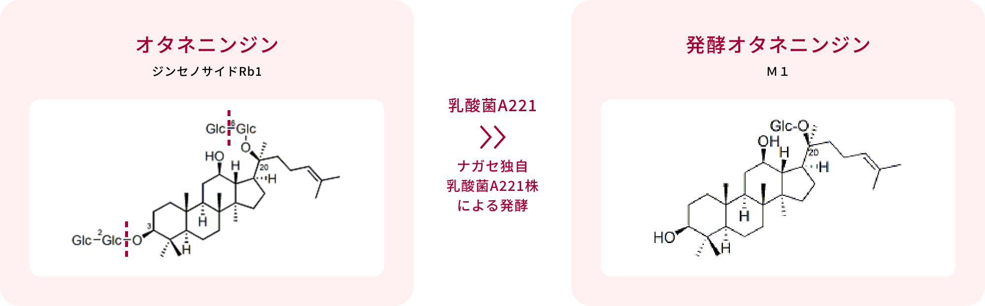「発酵オタネニンジン」の開発