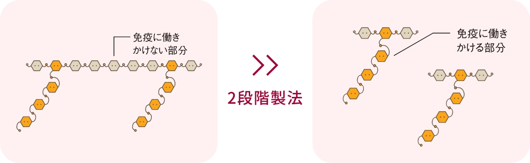 独自の乳酸菌「BL1889株」と酵素による2段階製法