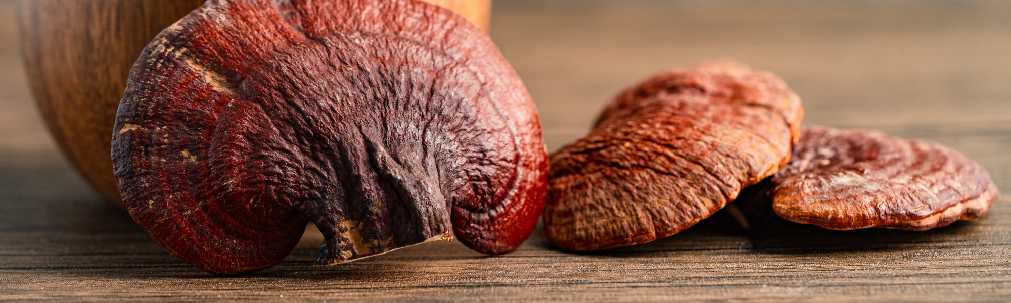 キノコの特性を活かした「発酵霊芝」